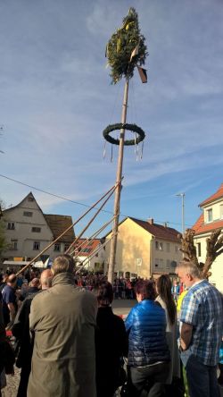 WP_20170430_18_20_15_Pro.jpg