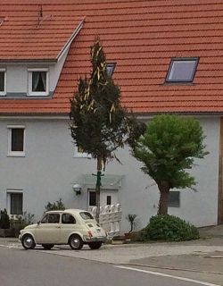 2 (Foto Natalie Dietrich).jpg